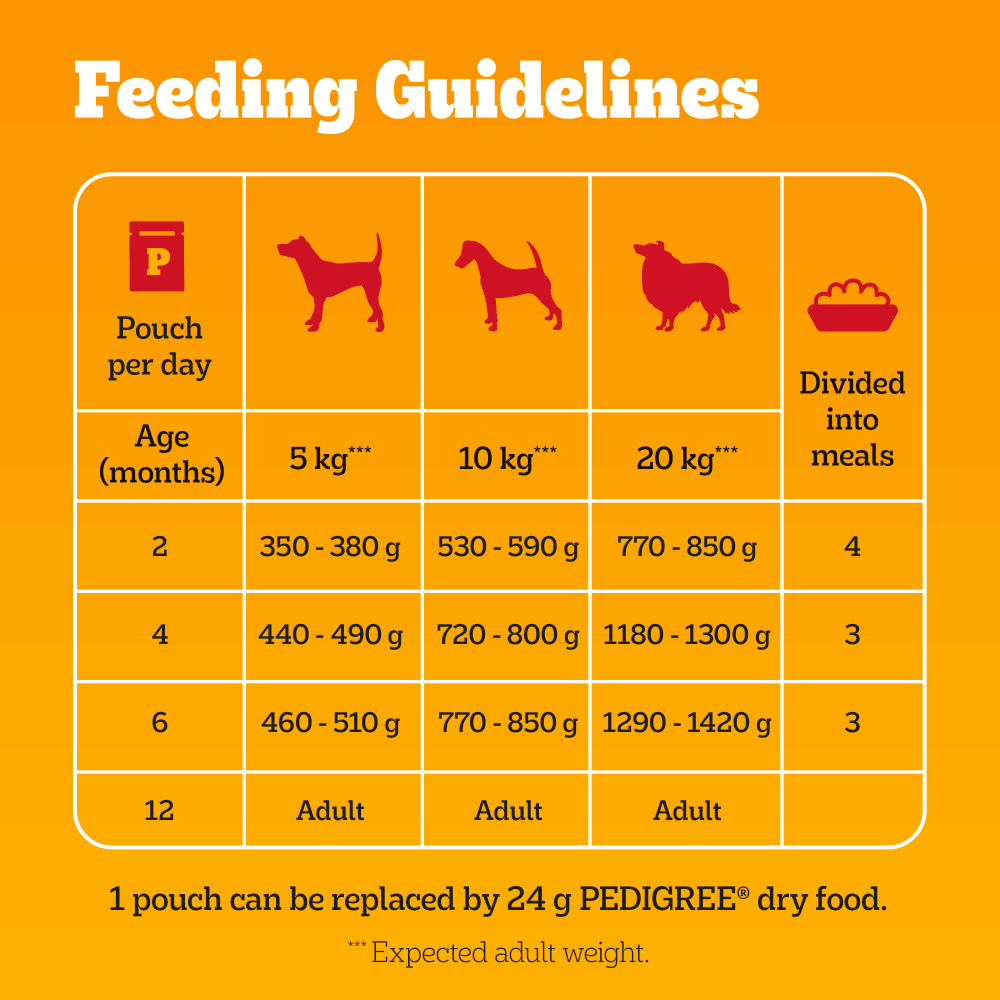 Pedigree Junior/Puppy Wet Dog Food Pouches Mixed in Jelly - 48 x 100g