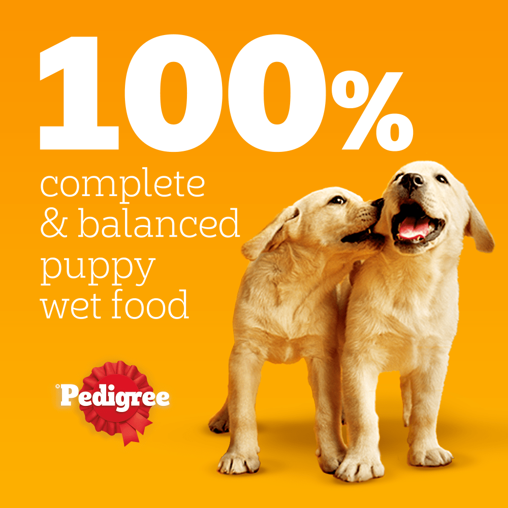 Pedigree Junior/Puppy Wet Dog Food Pouches Mixed in Jelly - 48 x 100g