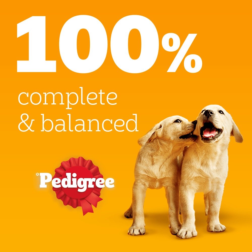 Pedigree Junior/Puppy Wet Dog Food Pouches Mixed in Jelly - 48 x 100g
