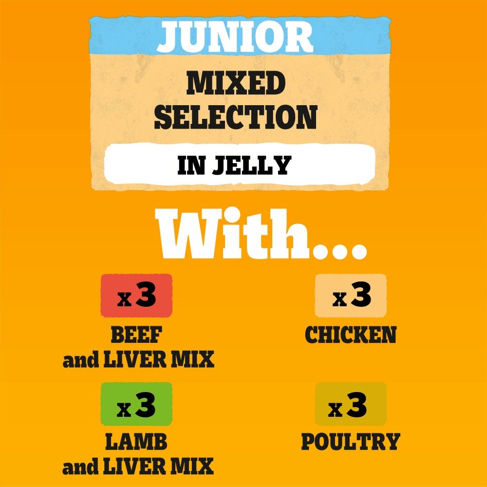 Pedigree Junior/Puppy Wet Dog Food Pouches Mixed in Jelly - 48 x 100g